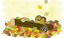 Desene animate