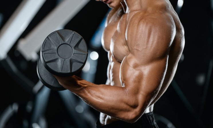 antrenor de fitness în București
